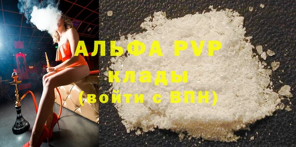 прущие грибы Ладушкин