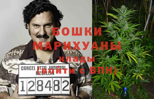 прущие грибы Ладушкин