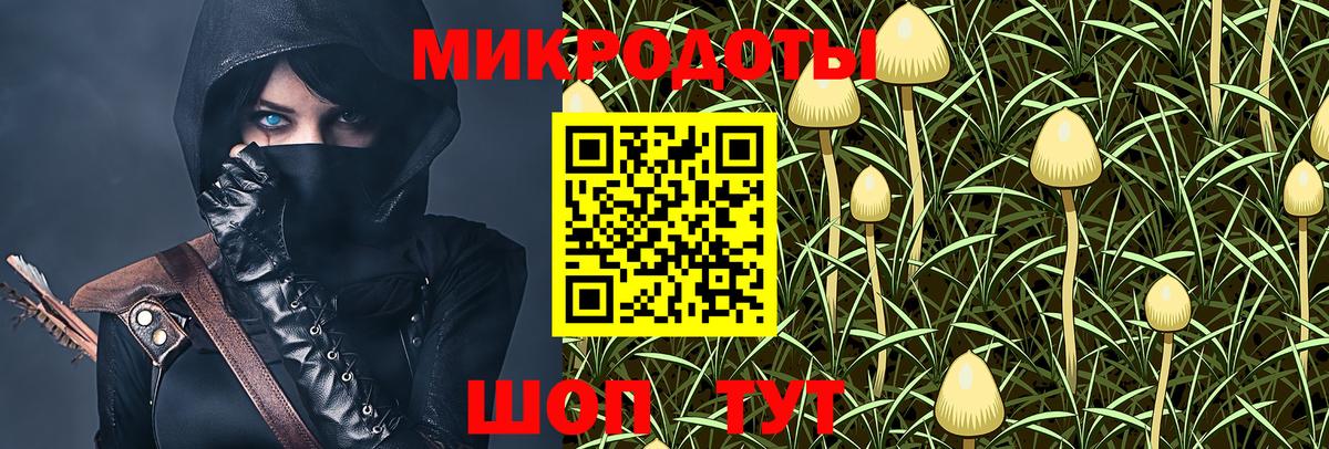 Галлюциногенные грибы Psilocybine cubensis Мелеуз